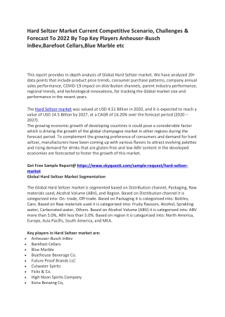 Hard Seltzer Market Current Competitive Scenario