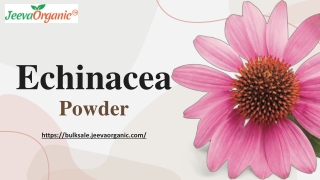 Echinacea Powder