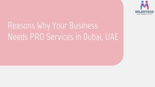 Reasons Why Your Business Needs PRO Services in Dubai, UAE