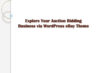 Explore Your Auction Bidding Business via WordPress eBay