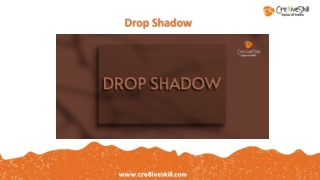 Drop Shadow Illustrator | Photoshop Shadow Effect | Cre8iveSkill