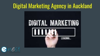 Digital Marketing Agency in Auckland | Digital Marketing Company in Auckland