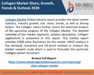 Collagen Market Size, Share, Trends, Demands, Insights and Forecast by 2028