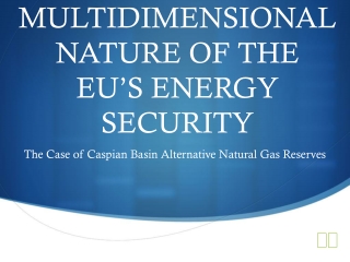 MULTIDIMENSIONAL NATURE OF THE EU’S ENERGY SECURITY