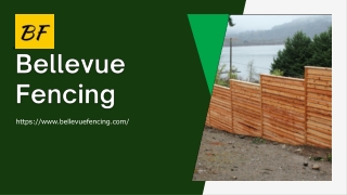 You Want To Iron Fence Installation Services In Bellevue