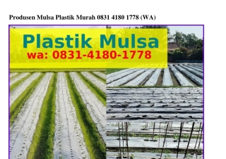 Produsen Mulsa Plastik Murah Ô8ᣮ1-Կ18Ô-1778(WA)