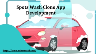 Spots Wash Clone App Development