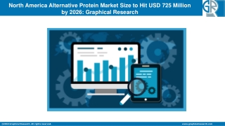 North America Alternative Protein Market