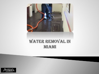 Technician For Water Removal In Miami | Service Master By Reed