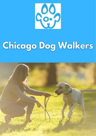Chicago Dog Walkers