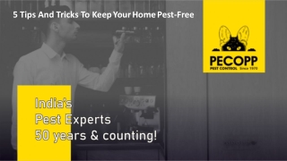 5 Tips And Tricks To Keep Your Home Pest-Free