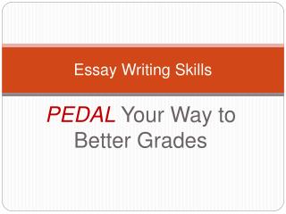 Essay Writing Skills