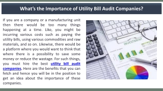 What’s the Importance of Utility Bill Audit Companies