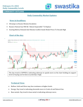 Commodity daily levels (23-FEB)