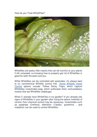 How do you Treat WhiteFlies