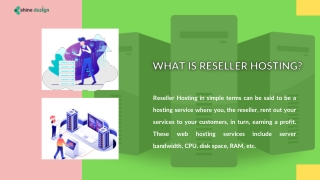 What is reseller hosting?