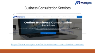 Business Consultation Services