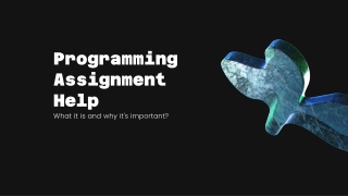 Programming Assignment Help: What it is and why it's important?