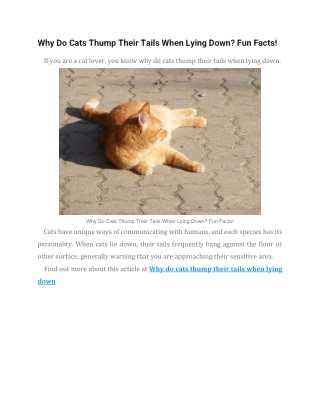 Why Do Cats Thump Their Tails When Lying Down