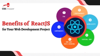 Benefits of Using ReactJS for your web development Project