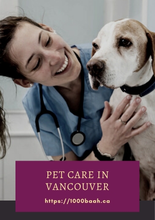 Best pet care services in Vancouver