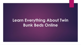 Learn Everything About Twin Bunk Beds Online