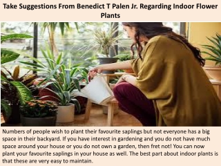 Take Suggestions From Benedict T Palen Jr. Regarding Indoor Flower Plants