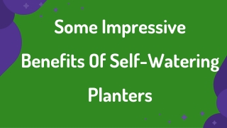 Some Impressive Benefits Of Self-Watering Planters