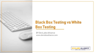 BLACK BOX VS WHITE BOX