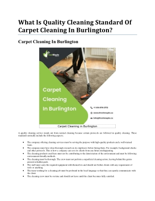 Rug Cleaning With Safety - Carpet Cleaning In Burlington