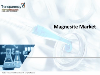 Magnesite Market 
