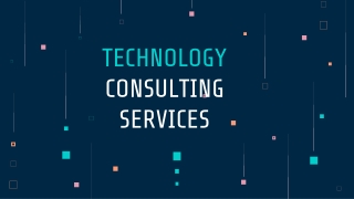 Technology Consulting Services