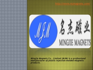 Best injection ndfeb magnet Manufacturer