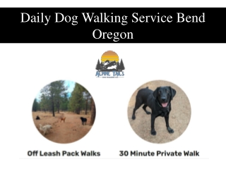 Daily Dog Walking Service Bend Oregon