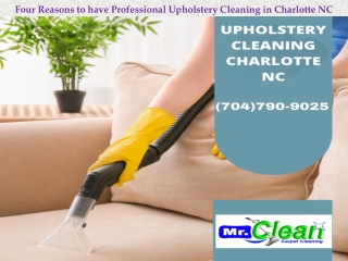 Four Reasons to have Professional Upholstery Cleaning in Charlotte NC