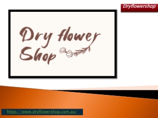 Most Demanded Dried Flowers Shop in Sydney