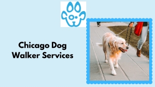 Chicago Dog Walker Services | Sparky Steps