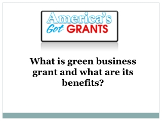What is green business grant and what are its benefits?