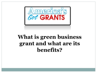 What is green business grant and what are its benefits ?