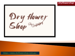 The Most Trusted Wholesale Dry Flower Shop Near Me