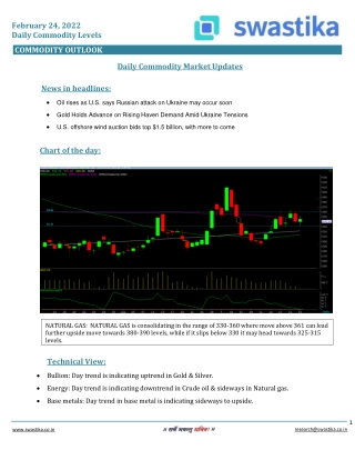 Commodity daily levels (24-Feb.)
