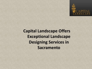 Capital Landscape Offers Exceptional Landscape Designing Services in Sacramento