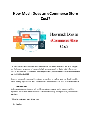 How much Does an eCommerce Store Cost