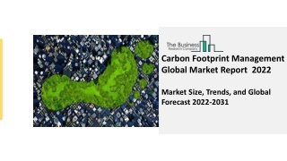 Carbon Footprint Management Global Market