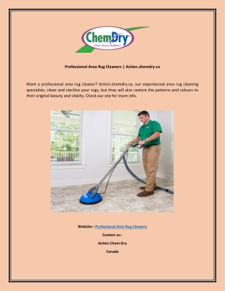 Professional Area Rug Cleaners  Action.chemdry.ca