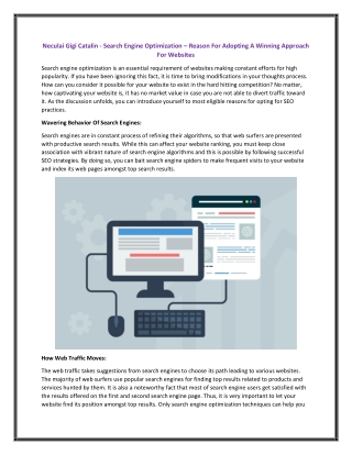 Neculai Gigi Catalin - Search Engine Optimization – Reason For Adopting A Winning Approach For Websites