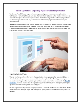 Neculai Gigi Catalin - Organizing Pages For Website Optimization