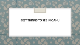 Best Things to See in Oahu