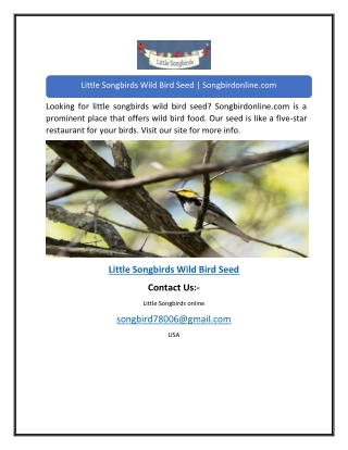 Little Songbirds Wild Bird Seed | Songbirdonline.com
