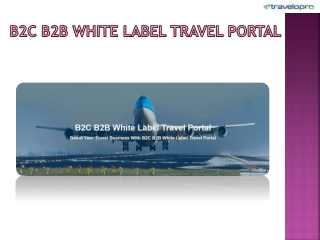 B2C B2B White Label Travel Portal